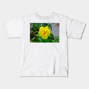 Esther Short Park Study 3 Kids T-Shirt